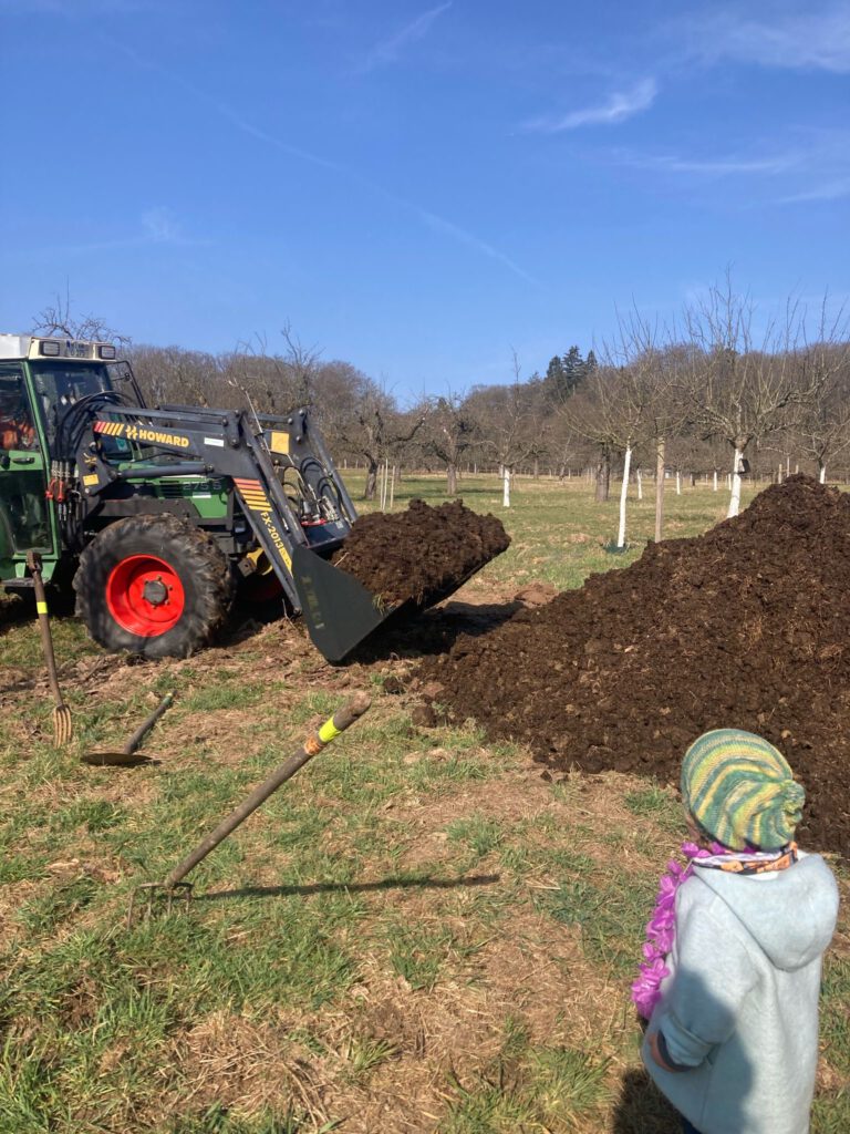 Kleine Augen staunen über den Berg an Pferdemist