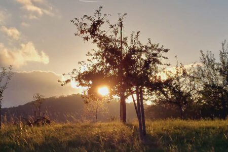 Abendstimmung am Rettershof