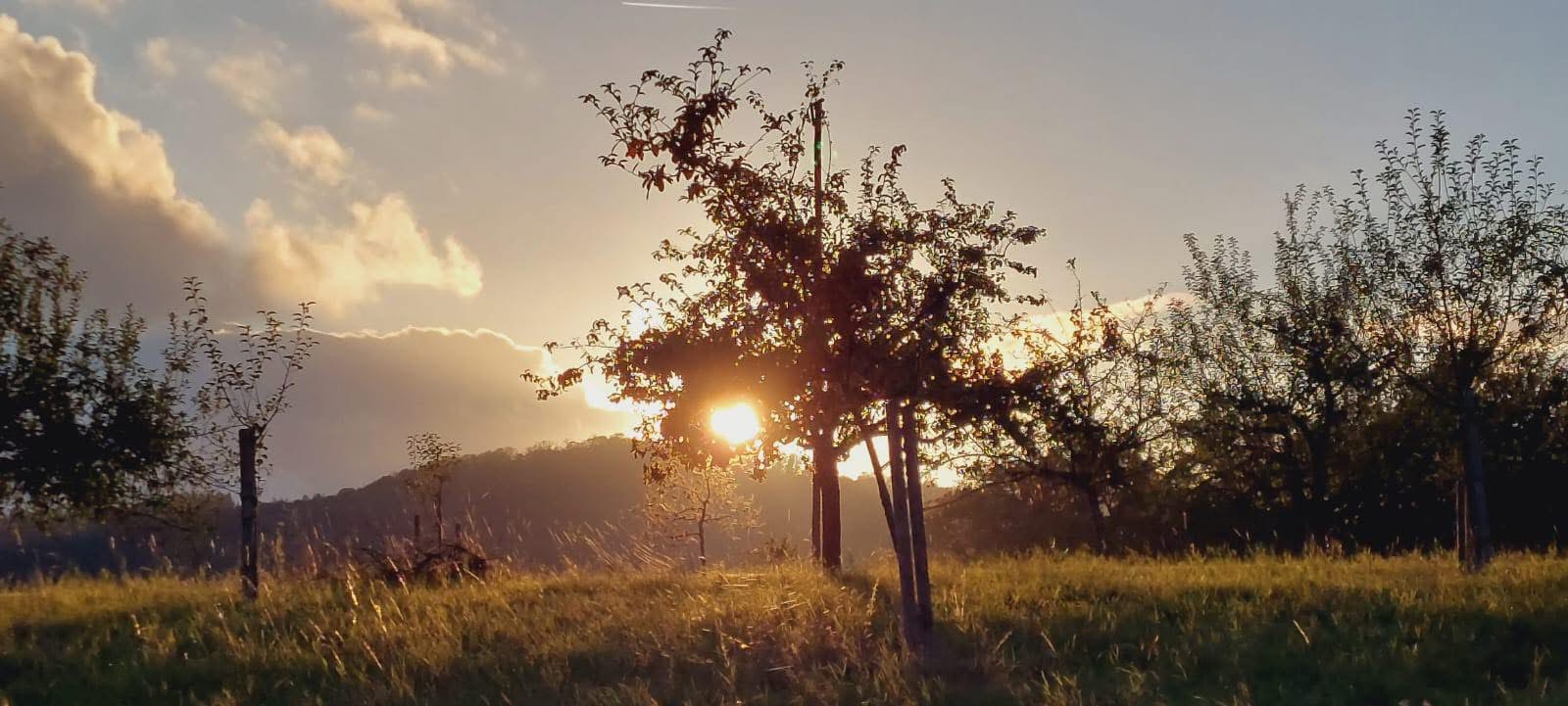Abendstimmung am Rettershof