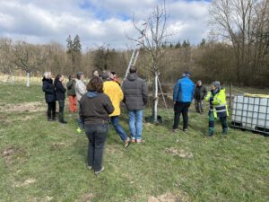 Schnittkurs bei ruppigem Böen