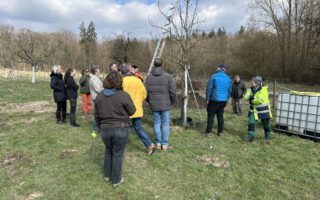 Schnittkurs bei ruppigem Böen