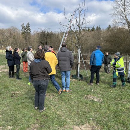 Schnittkurs bei ruppigem Böen