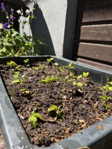 Unsere kleine Farm an Rettershofer Sämlingen